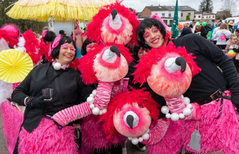 Events & Vereine Karnevalsverein verkleidet als Pinke Flamingos